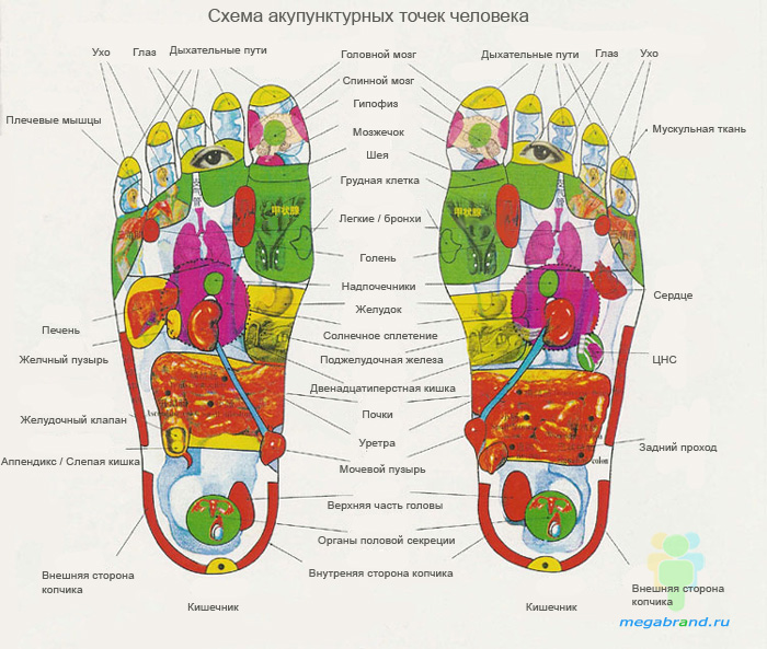 Что такое акупунктурный массаж для ног Что такое акупунктурный массаж для ног
